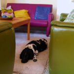 Slow Living retraite retreat nijmegen stilte weekend mindfulness lichaam rust tot jezelf